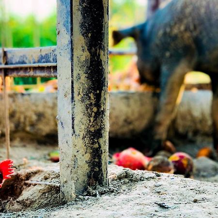 Relais Tenuta Gentili San Liberato Εξωτερικό φωτογραφία