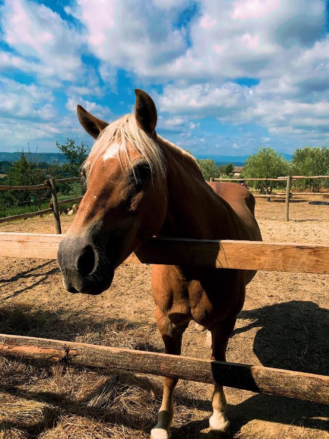 Relais Tenuta Gentili San Liberato Εξωτερικό φωτογραφία