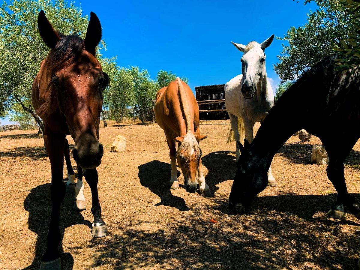 Relais Tenuta Gentili San Liberato Εξωτερικό φωτογραφία