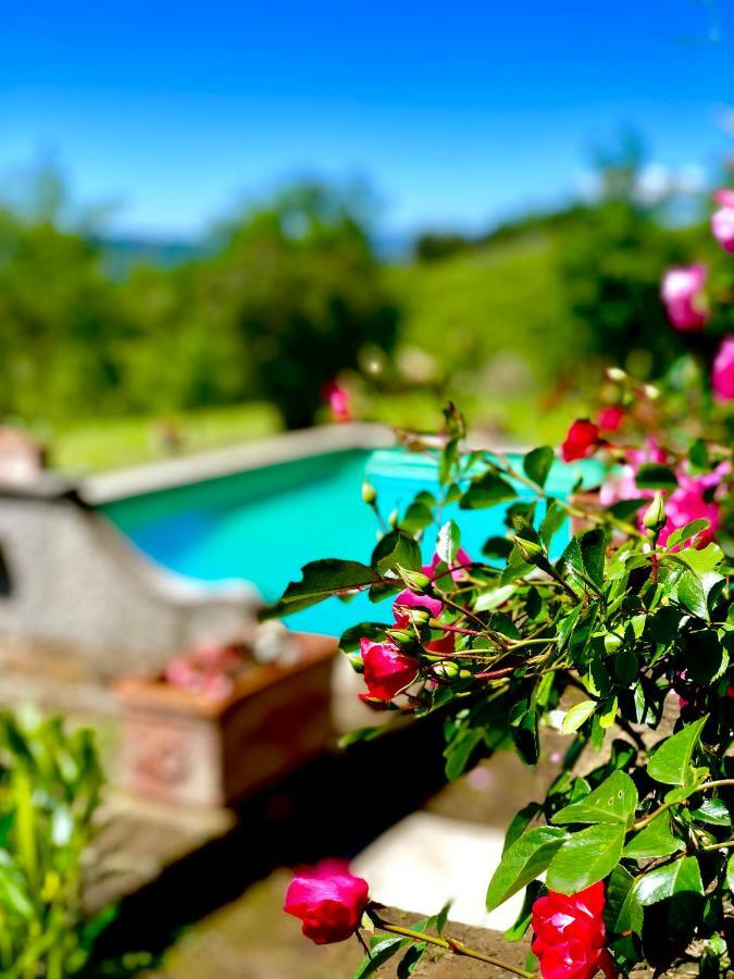 Relais Tenuta Gentili San Liberato Εξωτερικό φωτογραφία